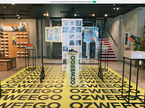 圖三：仿冒愛迪達（adidas）官網的釣魚網站 adidas-ozweego[.]fr